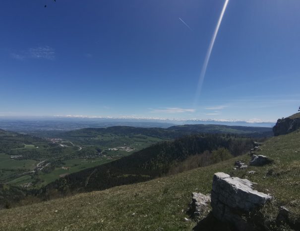 Vue mt blanc